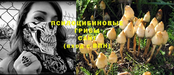 метадон Михайлов